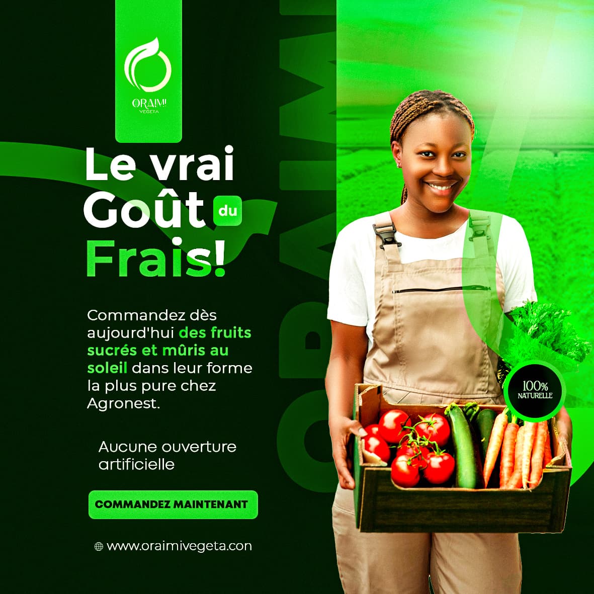 Poster, conception 3, réalisé par Léandre AGONMAN